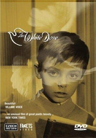 Постер фильма The White Dove