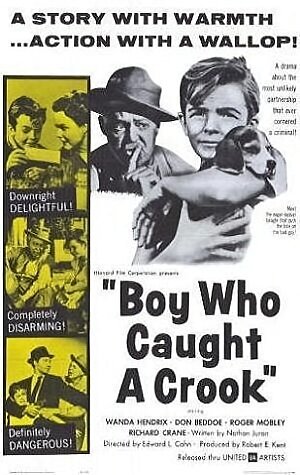 Постер фильма Boy Who Caught a Crook