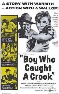 Boy Who Caught a Crook