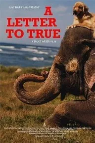 A Letter to True