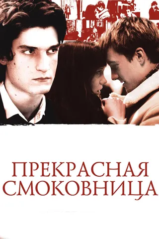 Постер Прекрасная смоковница (2008)