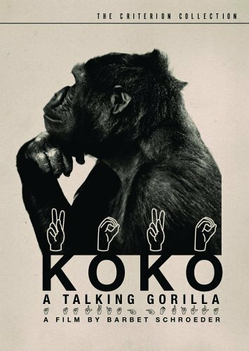 Постер фильма Коко, говорящая горилла