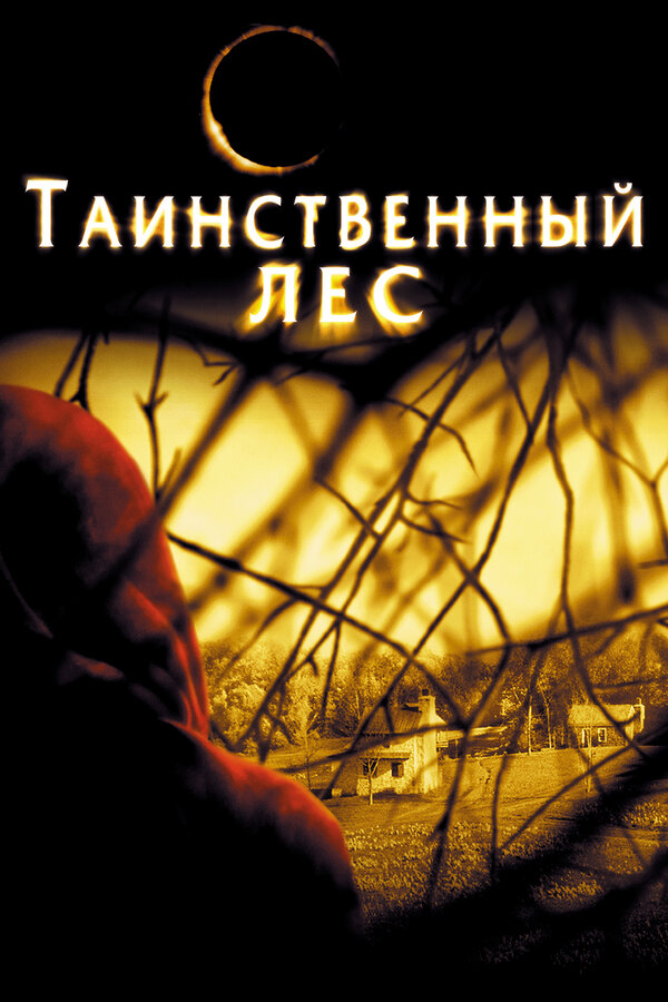 Постер фильма Таинственный лес