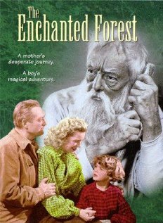 Постер фильма The Enchanted Forest