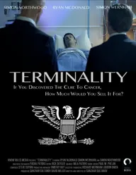 Terminality