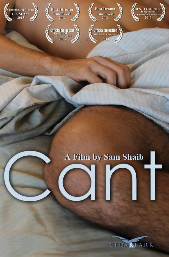 Постер фильма Cant