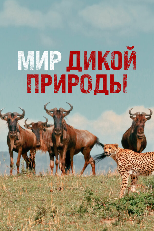 Постер сериала Мир дикой природы
