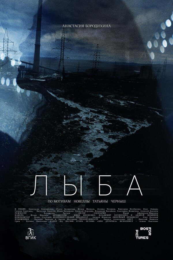 Постер фильма Лыба