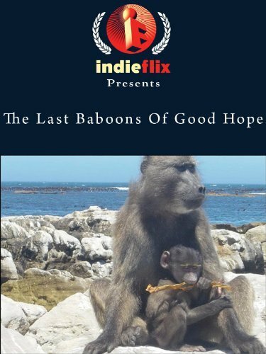 Постер фильма The Last Baboons of Good Hope