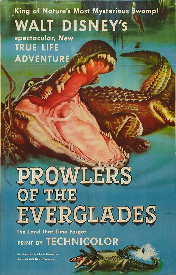 Постер фильма Prowlers of the Everglades
