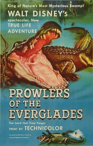 Prowlers of the Everglades