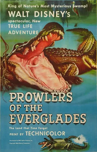 Постер Prowlers of the Everglades (1953)