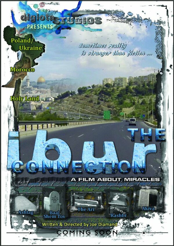 Постер фильма The IBUR Connection