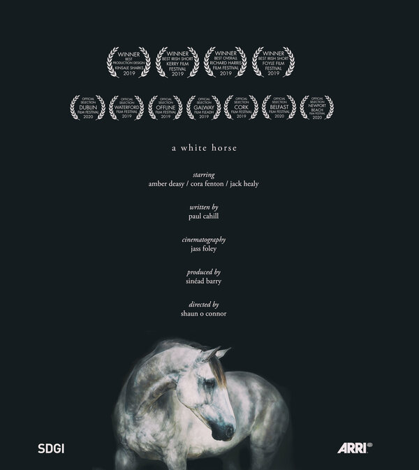 Постер фильма A White Horse