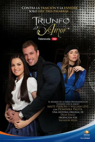 Постер Триумф любви (2010)