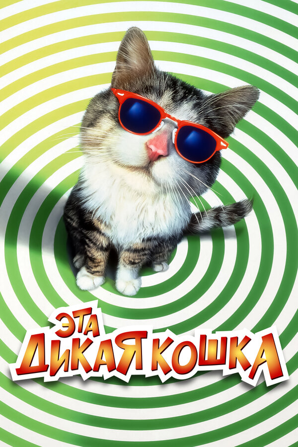 Постер фильма Эта дикая кошка