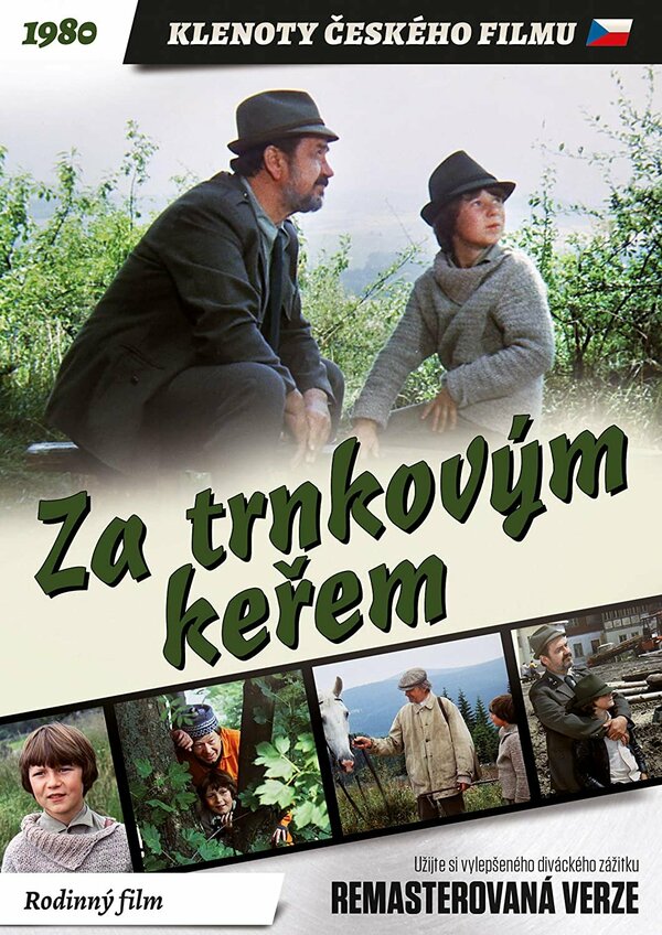 Постер фильма За кустами терновника