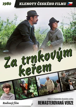 Постер За кустами терновника (1981)