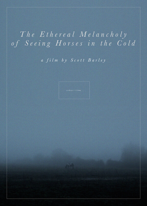 Постер фильма The Ethereal Melancholy of Seeing Horses in the Cold