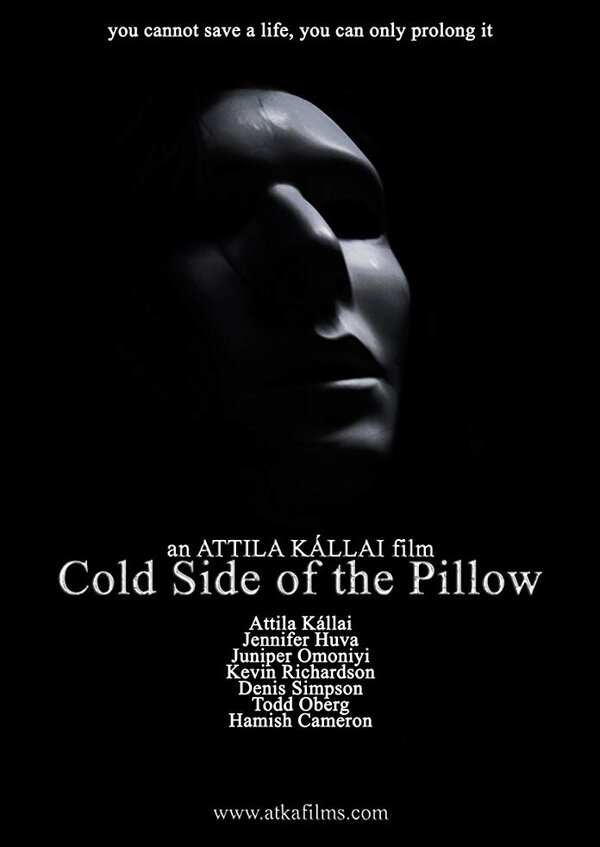 Постер фильма Cold Side of the Pillow