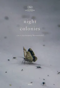 Ночные колонии