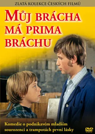 Постер У моего брата отличный братишка (1975)