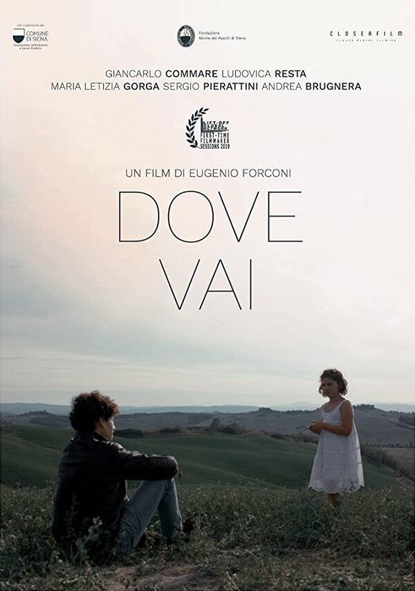 Постер фильма Dove Vai