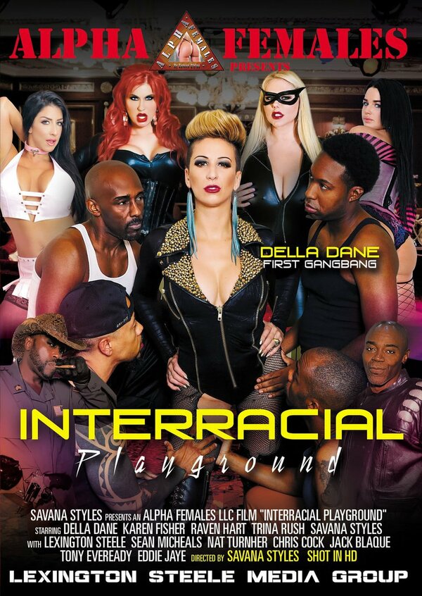 Постер фильма Interracial Playground