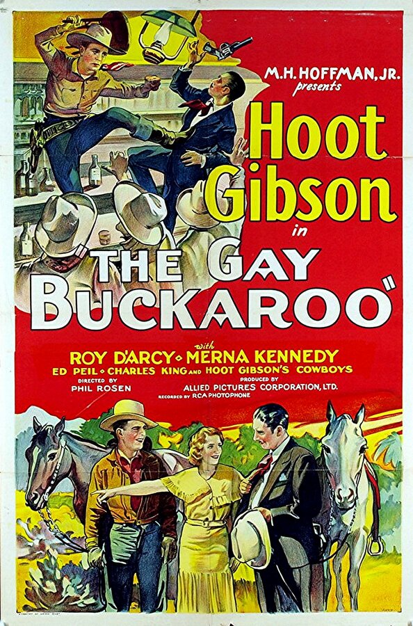 Постер фильма The Gay Buckaroo