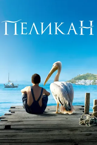 Постер Пеликан (2011)