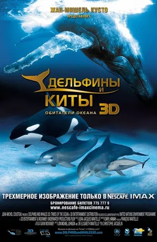 Постер Дельфины и киты 3D (2008)