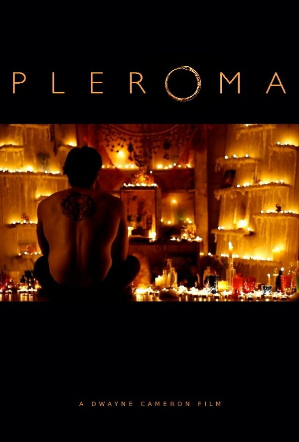 Постер фильма Pleroma