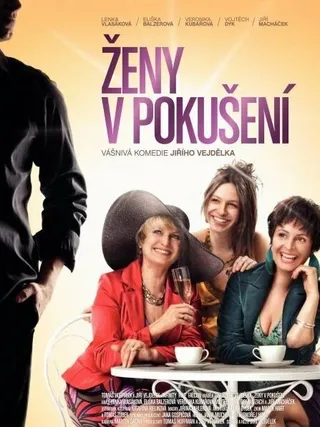 Постер Женщины в соблазне (2010)