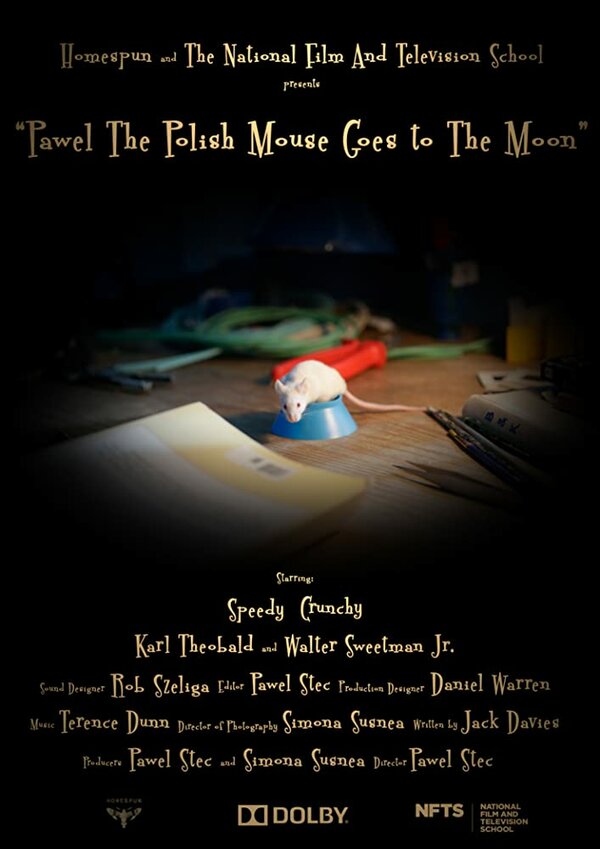 Постер фильма Pawel the Polish Mouse Goes to the Moon