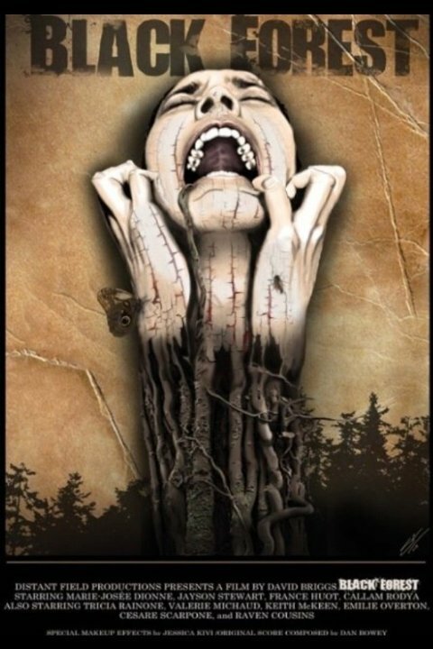 Постер фильма Black Forest