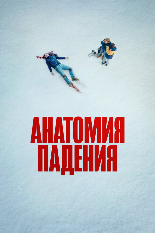 Постер Анатомия падения Постер Анатомия падения