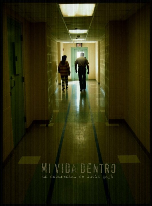 Постер фильма Mi vida dentro