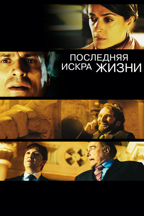 Постер фильма Последняя искра жизни