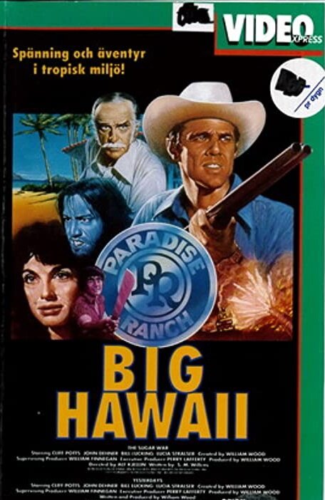 Постер сериала Big Hawaii