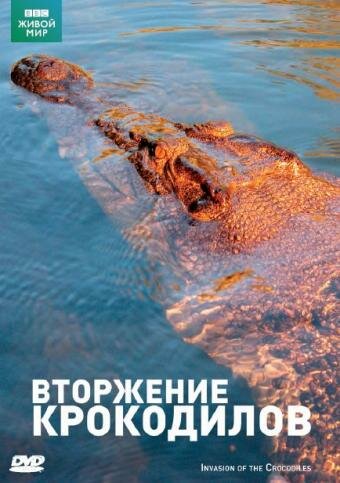 Постер фильма BBC: Вторжение крокодилов
