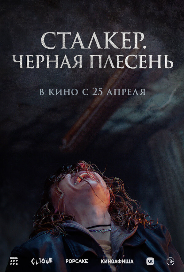 Постер фильма Сталкер. Черная плесень