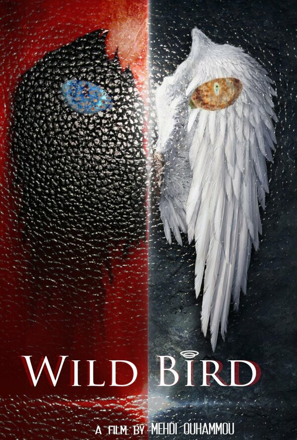 Постер фильма Wild Bird
