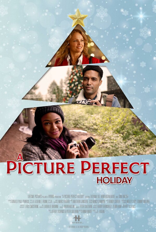 Постер фильма A Picture Perfect Holiday