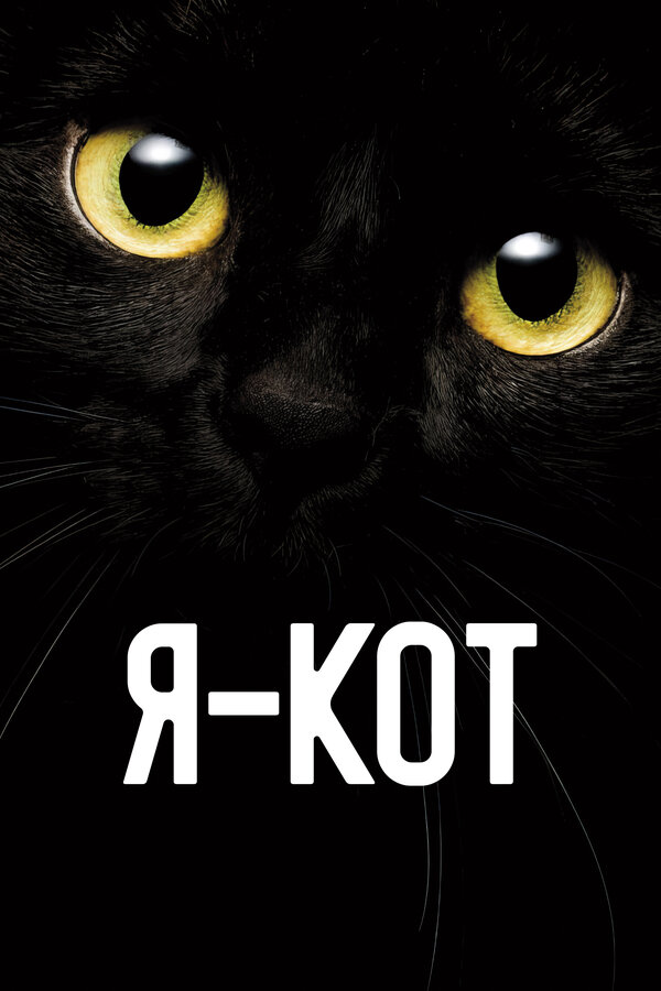 Постер фильма Я — кот