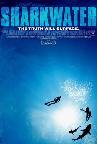 Постер Акулы (2006)