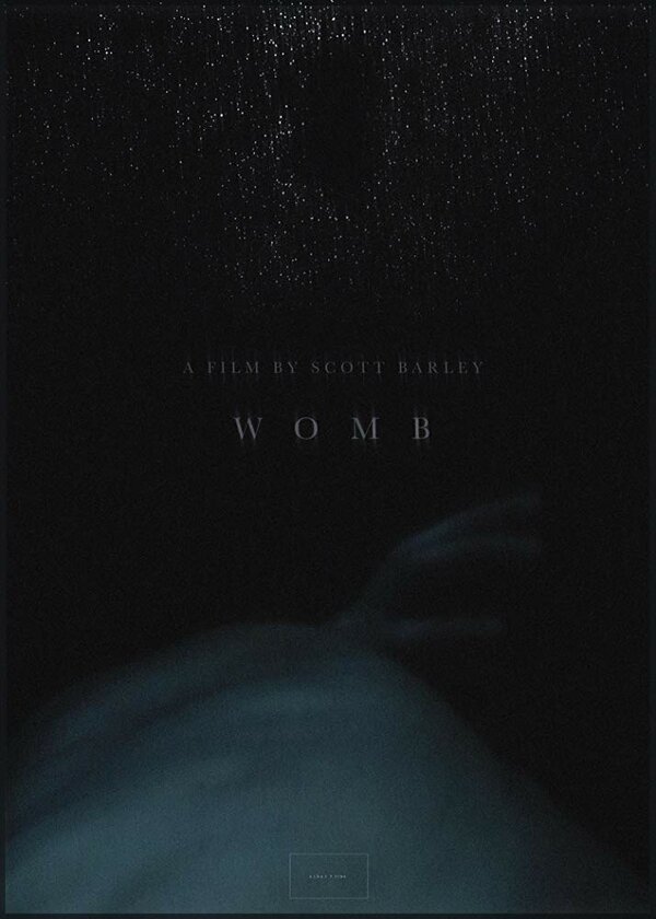 Постер фильма Womb