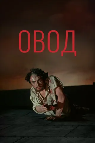 Постер Овод (1955)