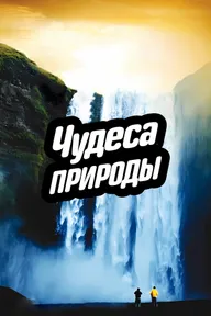Чудеса природы