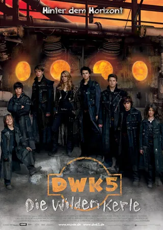 Постер Дикая банда 5 (2008)