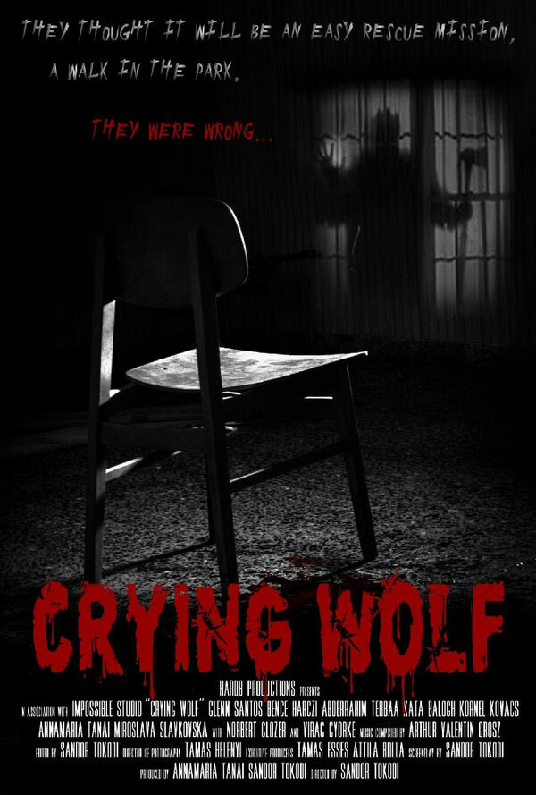 Постер фильма Crying Wolf